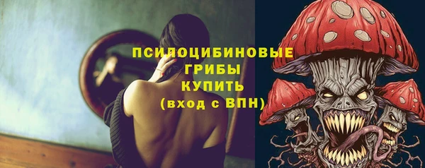 гидра Липки